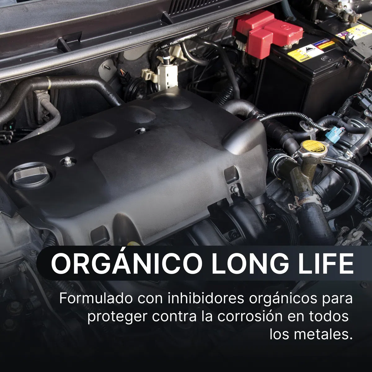 LUCCY Anticongelante Coche 10% Protección -5ºC Verde - 10 Litros - Fórmula Mejorada - Líquido Refrigerante Profesional para Vehículos Fórmula Orgánica Long Life