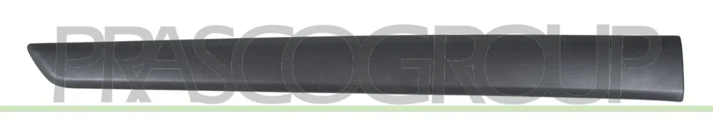 PRASCO RN9181453 Listón embellecedor/protector puerta Atrás derecha negro Compatible con RENAULT KANGOO Express FW0/1 Kangoo II/Grand Kangoo KW, KW0/1