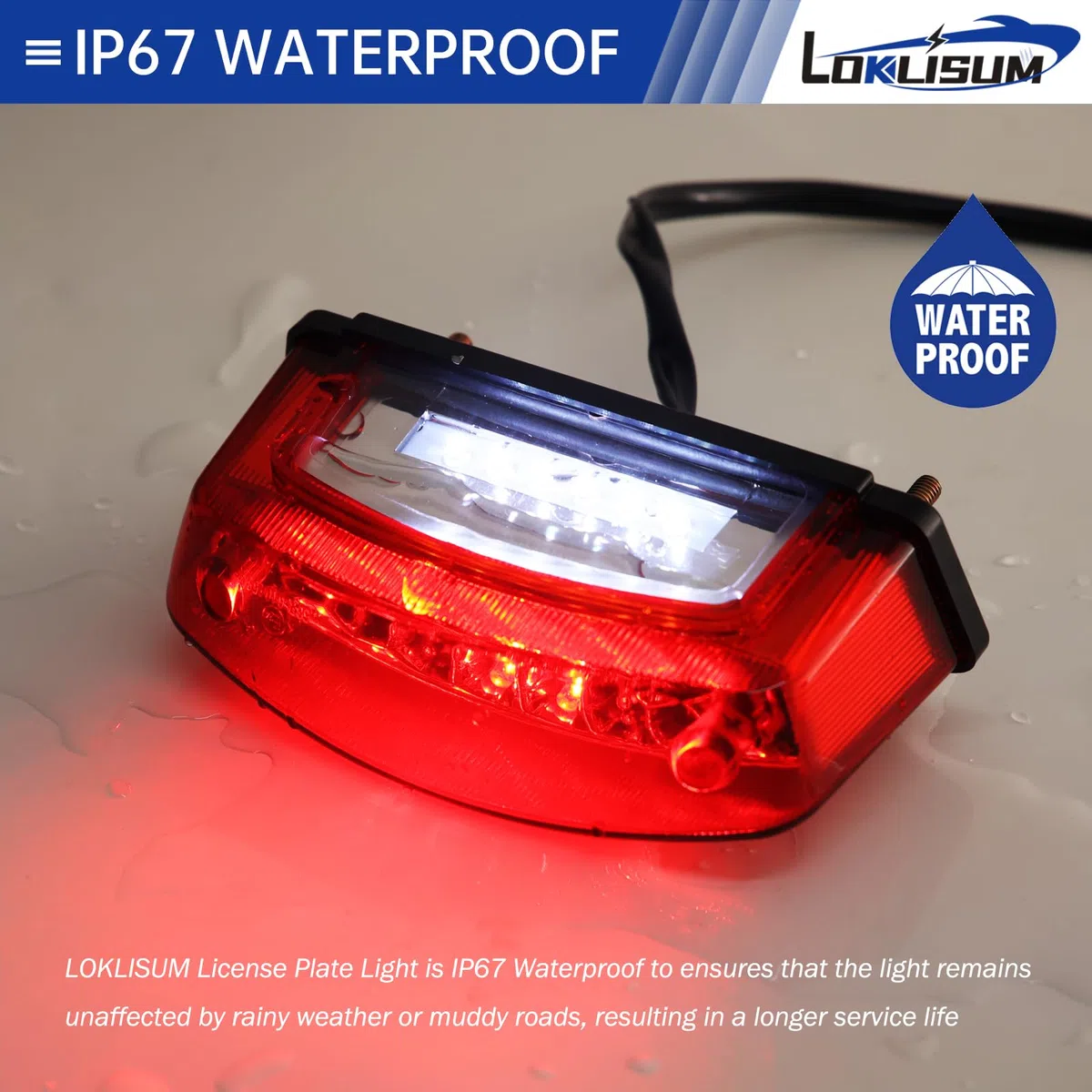 Luces Traseras Universales Moto 12V, 21 LED Luz Matricula Moto E24, Luz de Freno Compatible con Monster 400 620 695 750 800 900 S2R S4R ATV Scooter Cafe Racer Dirt Bike