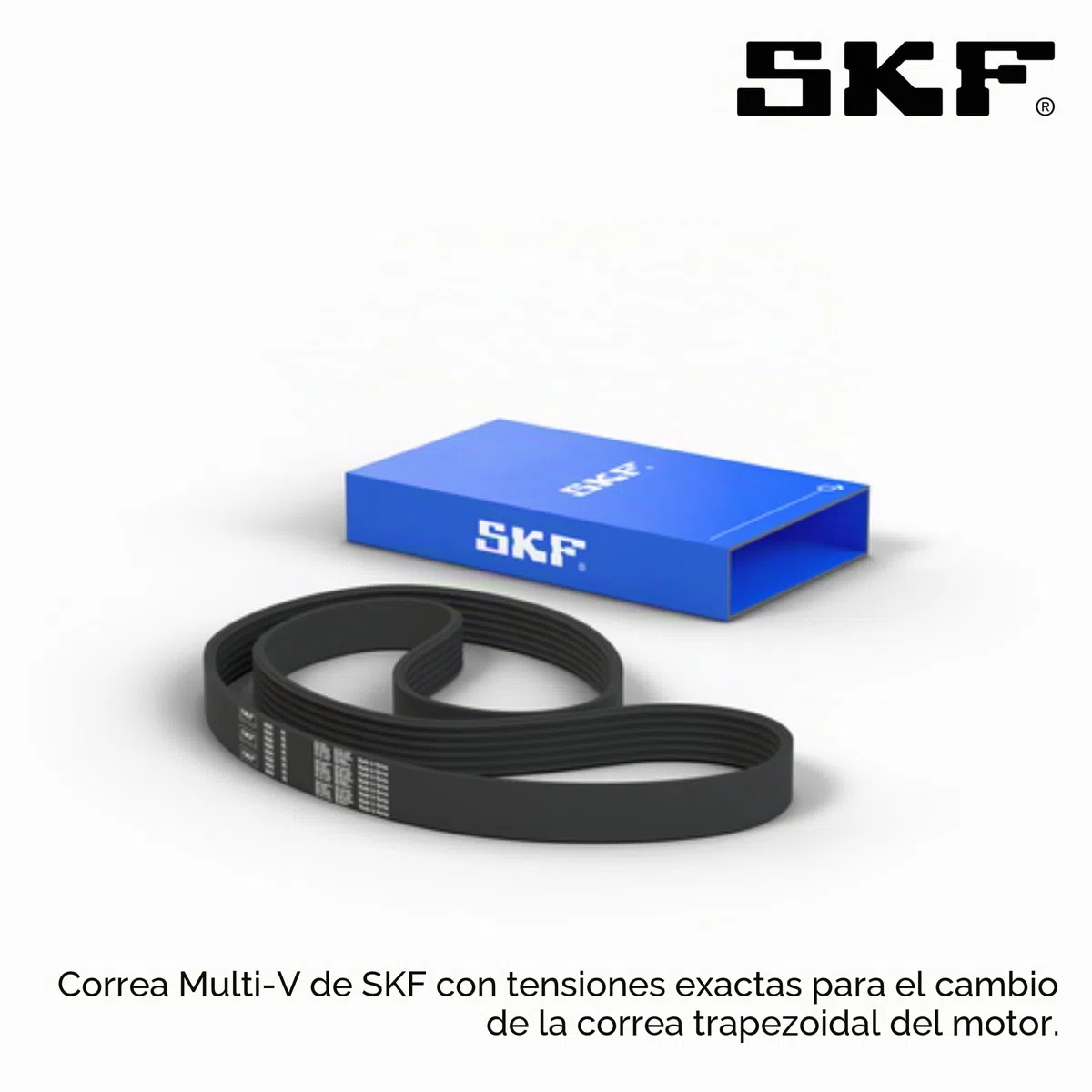 SKF VKMV 5PK1811 Correa Multi-V