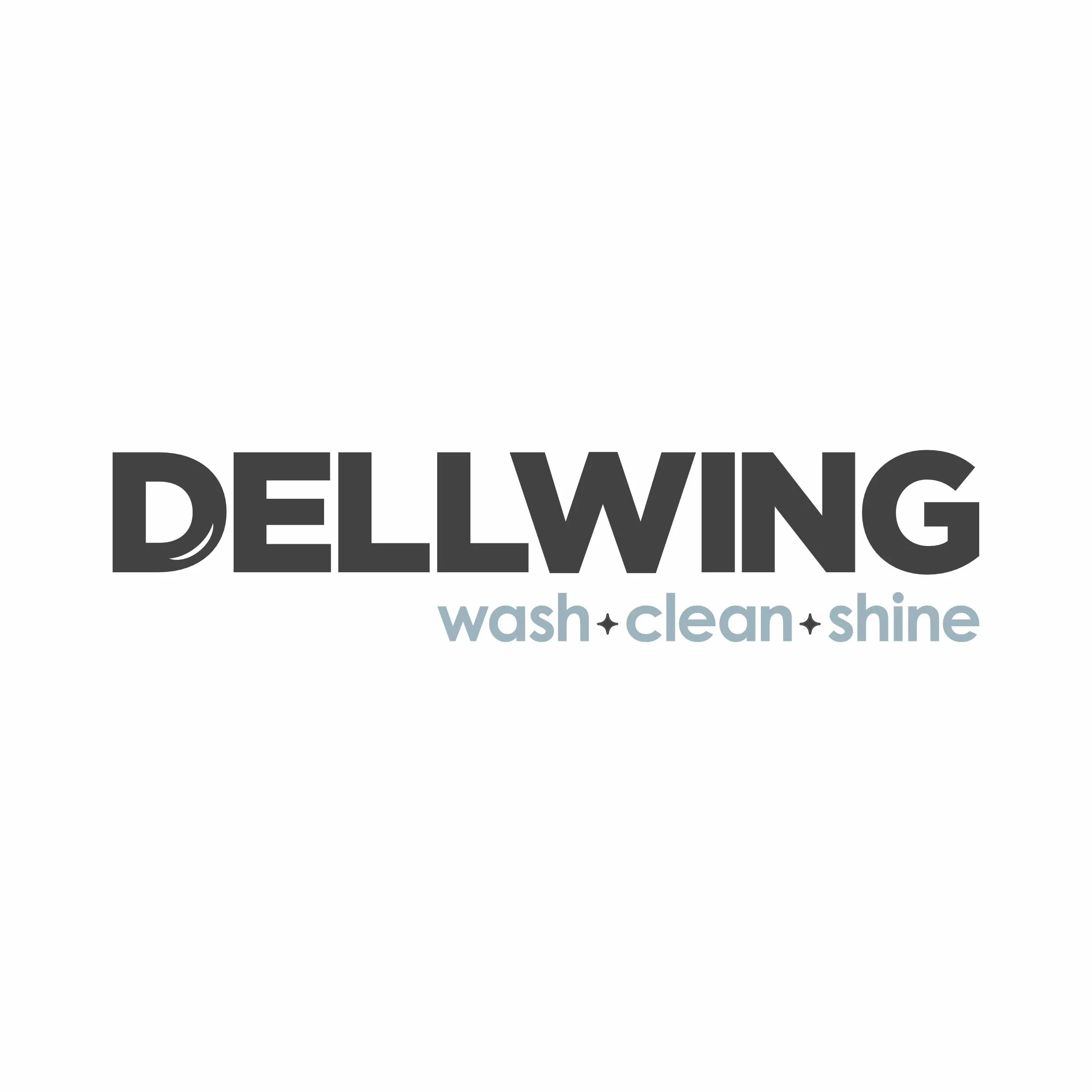 DELLWING HD Limpiador especial alcalino 2.5L - Limpiador ultrasónico concentrado premium para limpiar piezas de automóviles como carburadores, culatas de cilindros, inyectores, boquillas de inyección