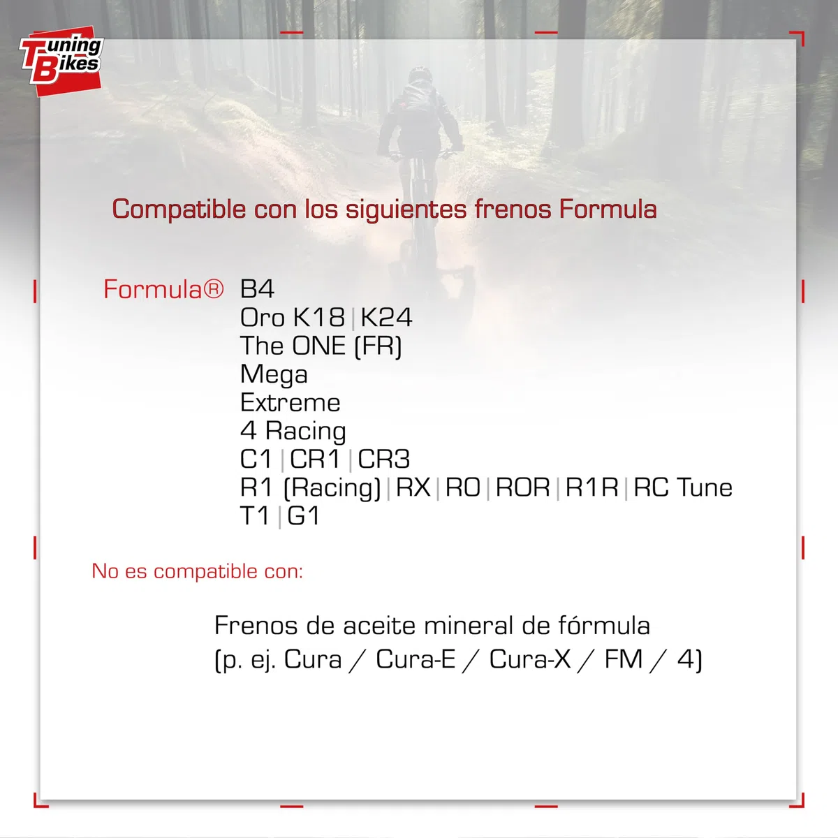 Kit de purgado para frenos de Formula
