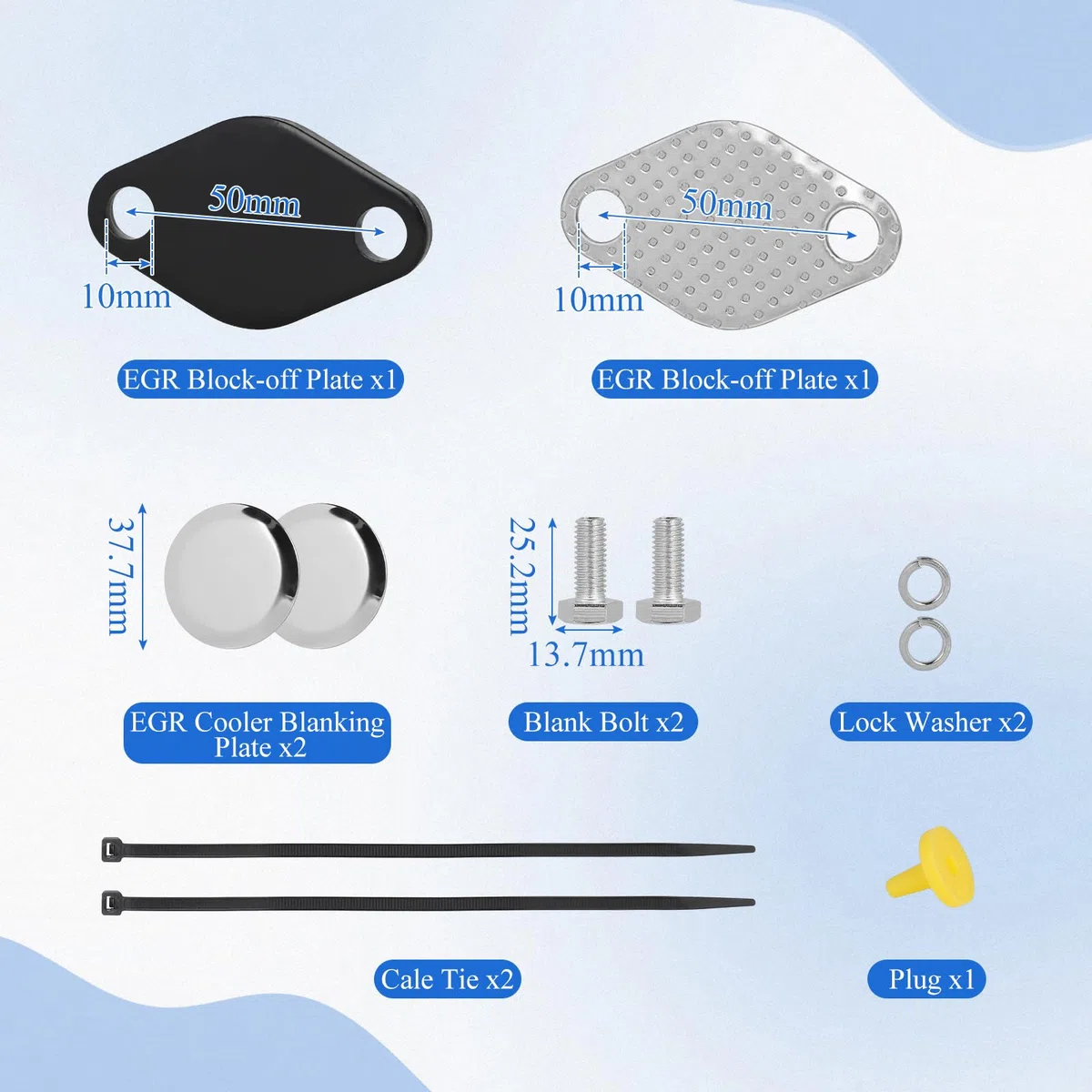 EFUTURETIME Válvula EGR, Kit de EGR & Cooler Delete Valvula compatible con E46/E39/E38/E65, X3, X5