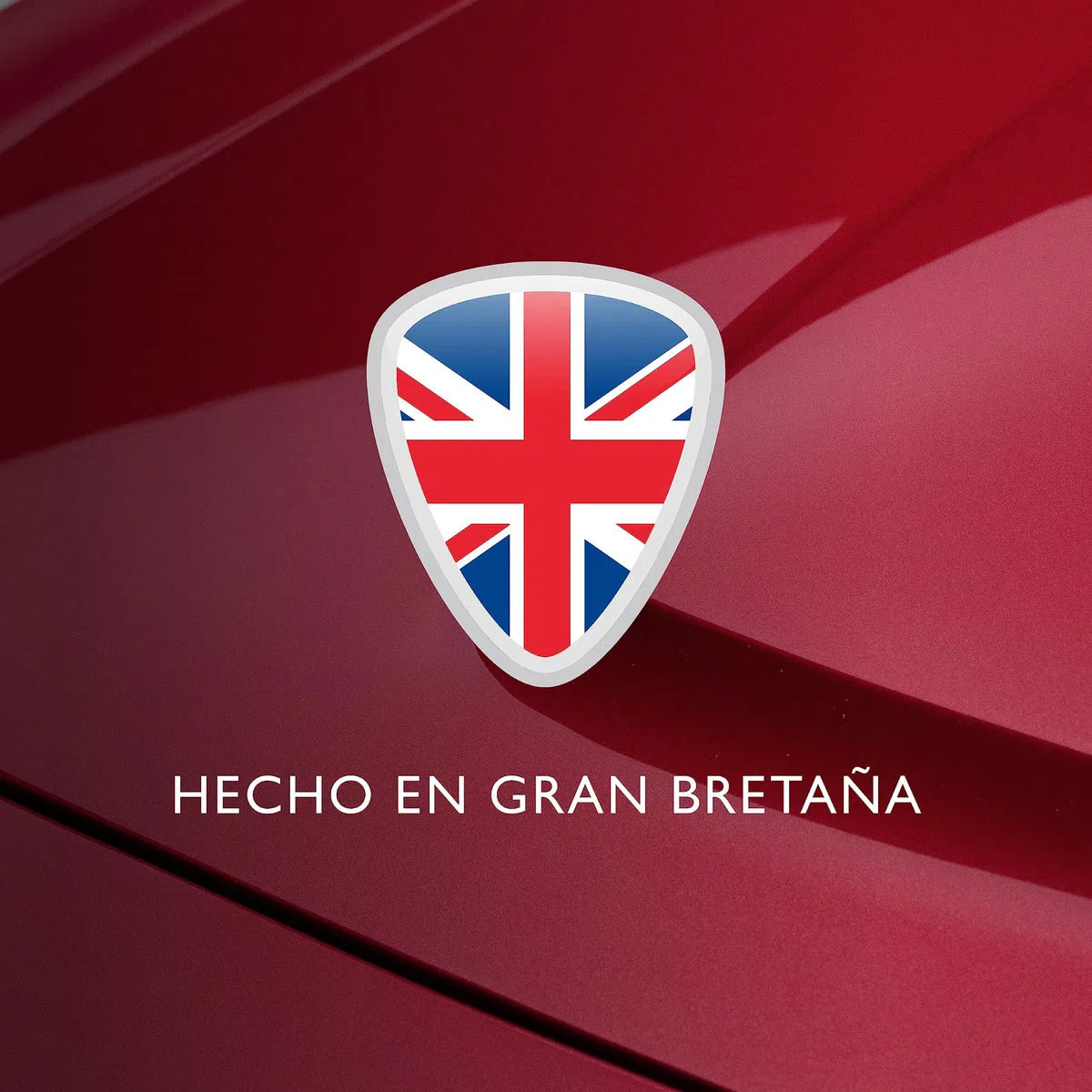 Autoglym Gel de Alto Rendimiento para Neumáticos, Sin Accesorio, Gel