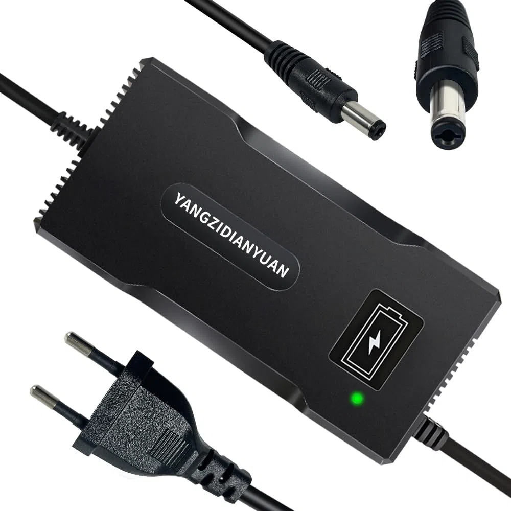 Cargador de batería 48V/52V 58.8V 4A con Conector DC 5.5 * 2.1mm – Cargador Inteligente CC-CV para baterías Recargables