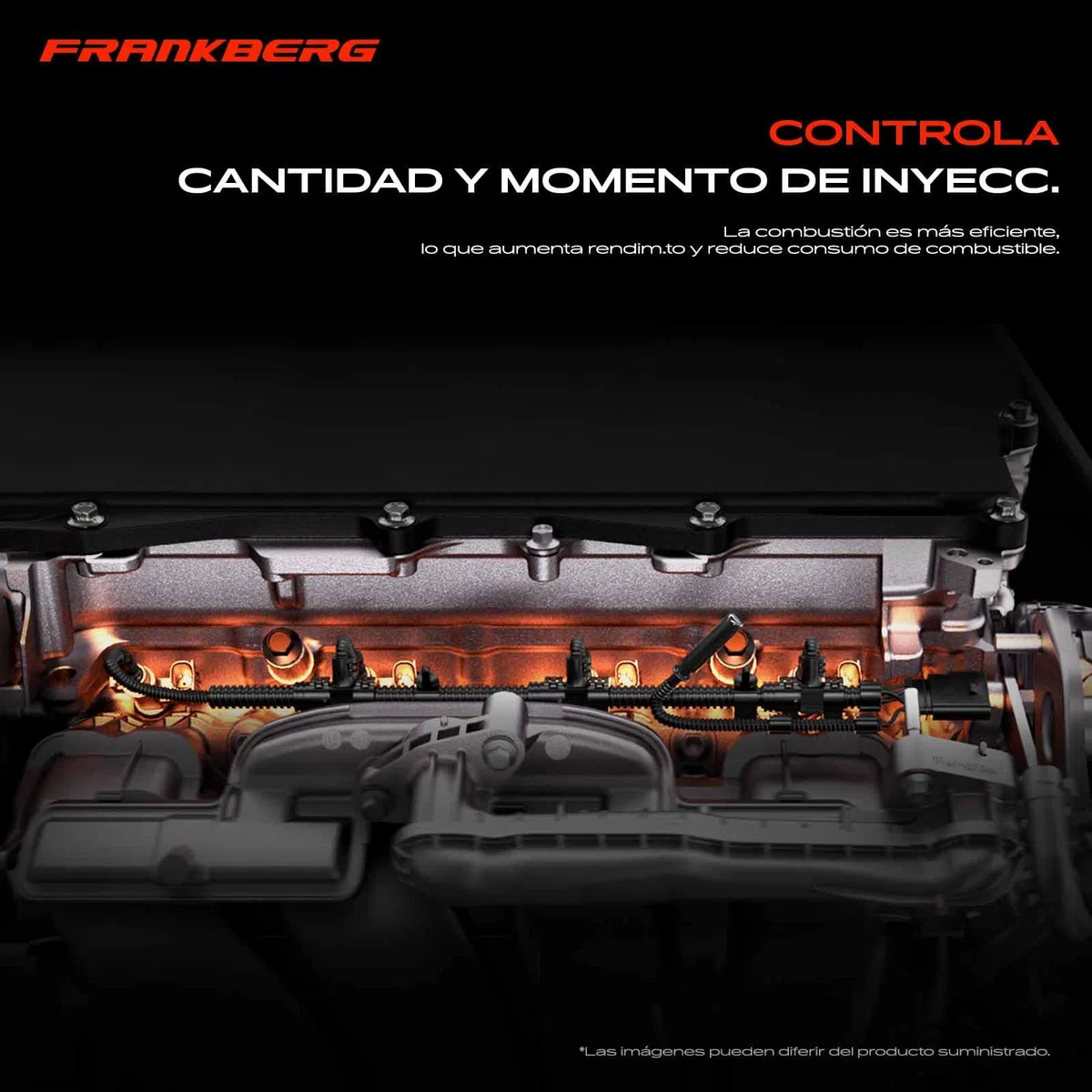 Frankberg Juego de cables Puente de contacto Diesel Compatible con Golf V Variante 1K5 1.9L O.c.t.a.v.i.a II Combi 1Z5 2.0L Superb II Touring 3T5 2.0L Golf V 1K1 1.9L Tour.a.n 1T1 1T2 1.9L V10-830116