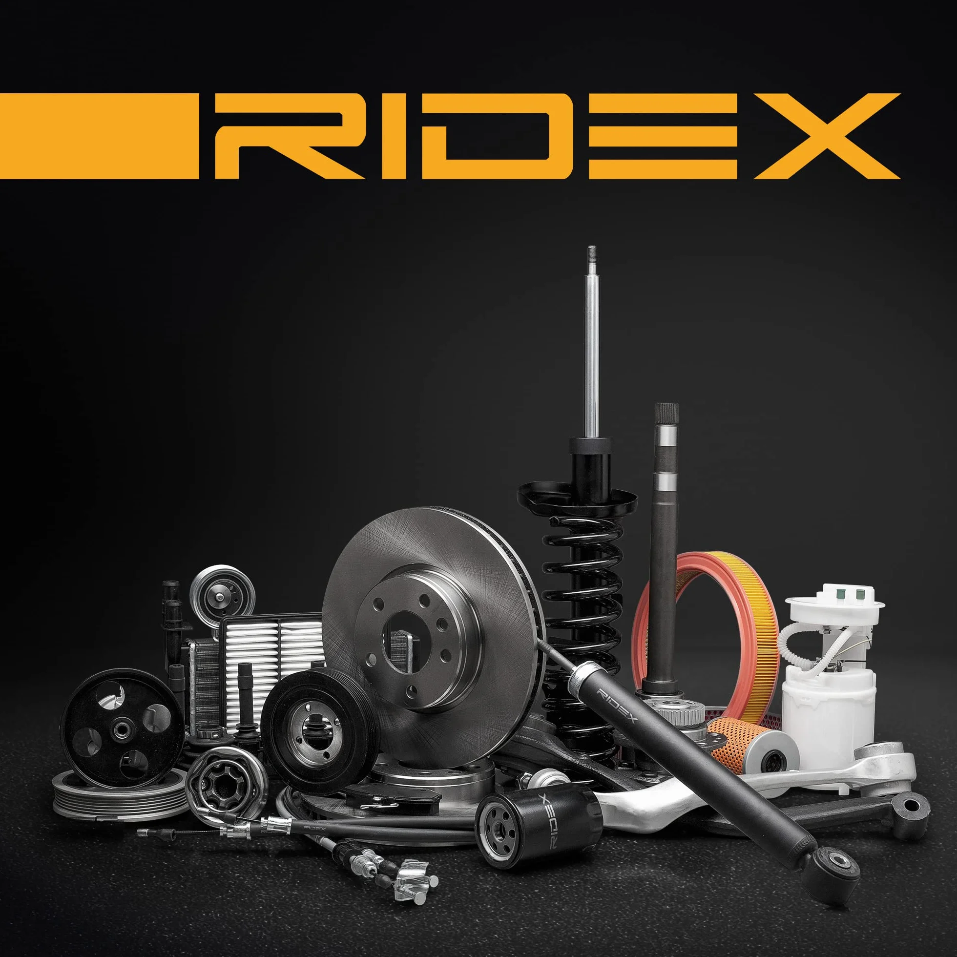 RIDEX 914T0249 Rótula de dirección Delantero Compatible con NISSAN PICK UP D21