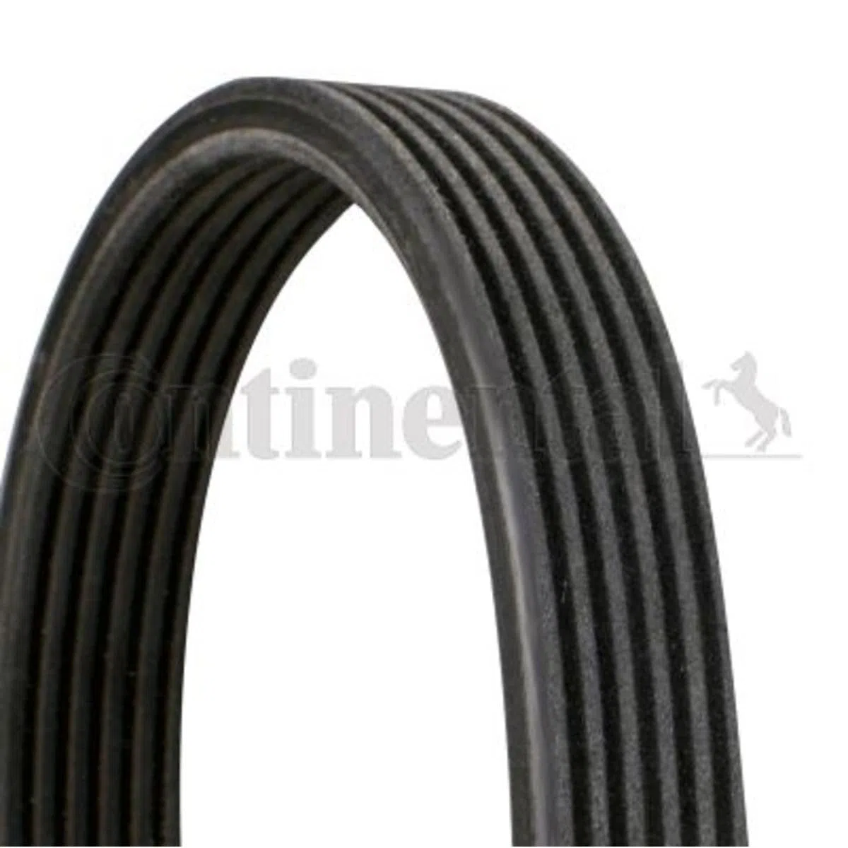 CONTITECH 6DPK1825 Correa trapecial poli V