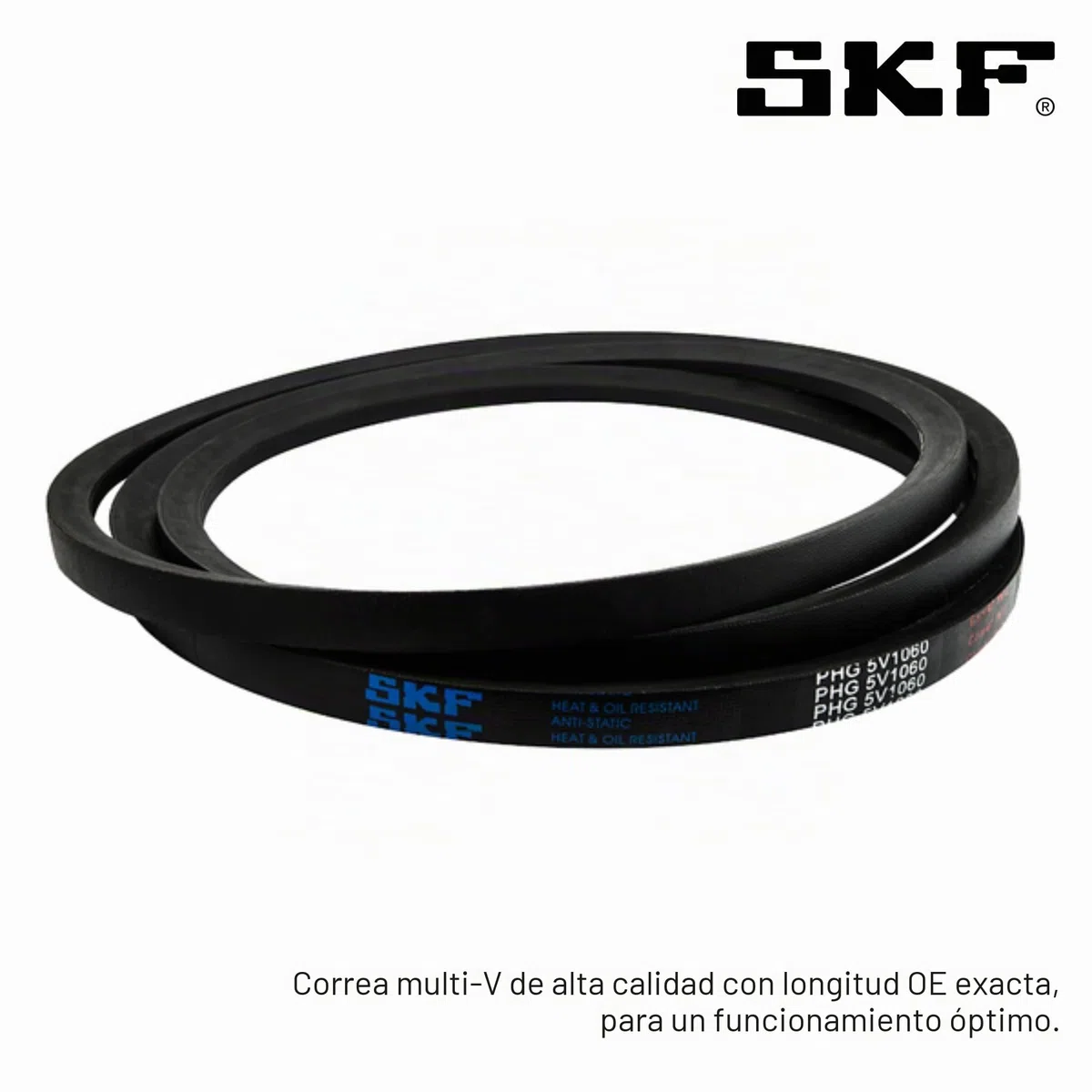 SKF VKMV 5PK1811 Correa Multi-V