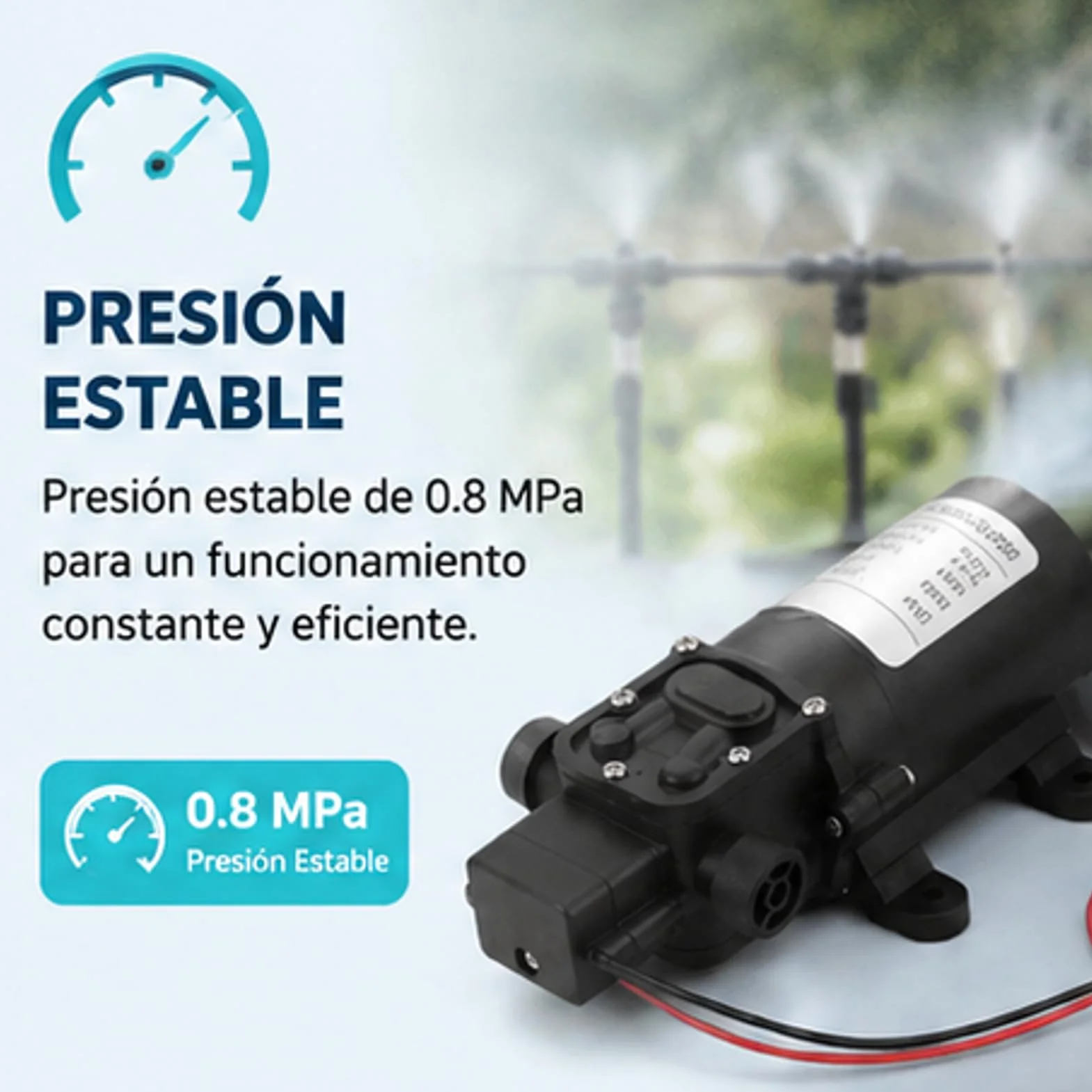 DC 12V Bomba de agua de alta presión Bomba de pulverización autocebante 5 L/min 116 PSI Bomba de diafragma de agua dulce para RV Marine Boat