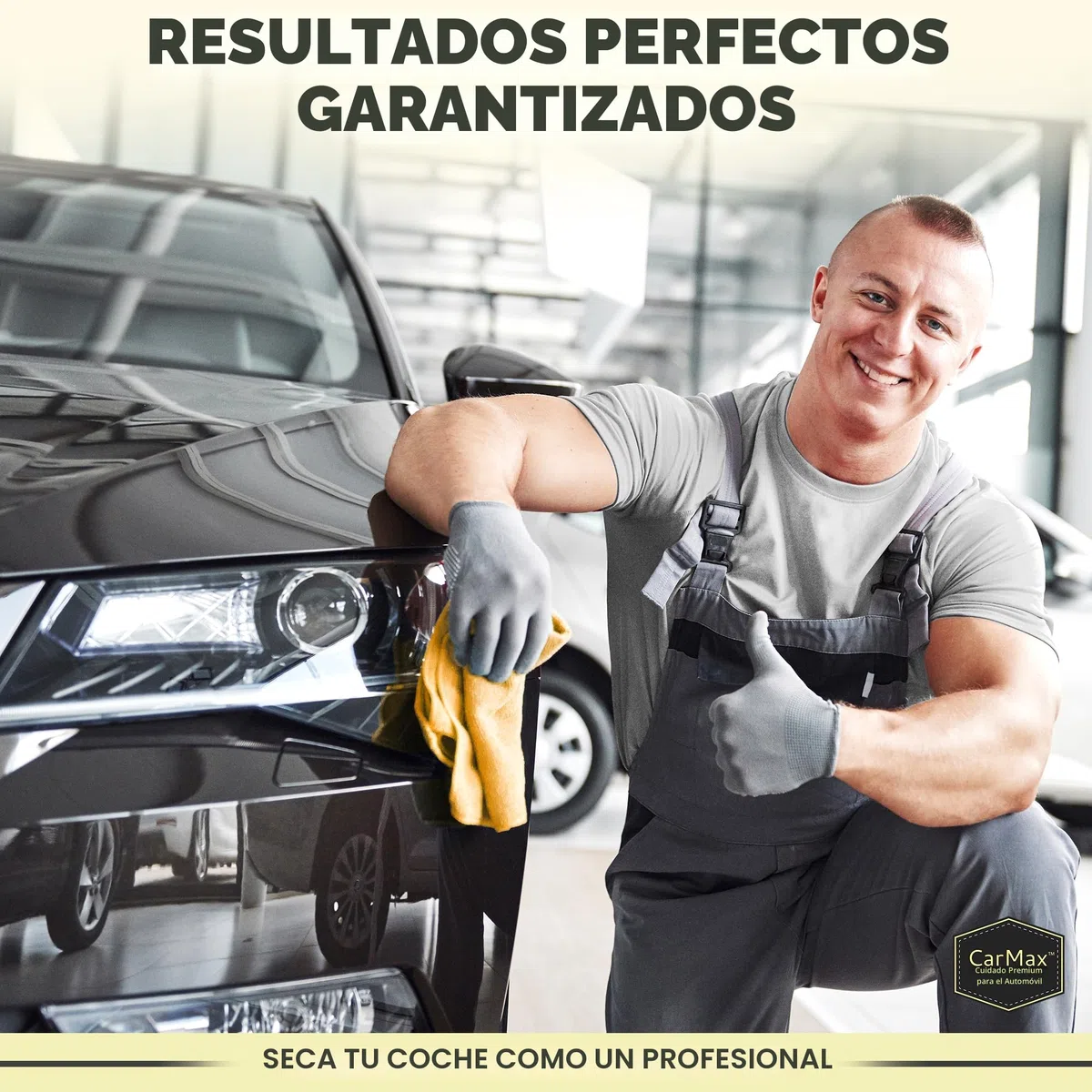 CarMax English - Paquete de Cinco Unidades de Piel Natural de Gamuza de Fanatic Regular Detalles de automóviles, Vidrio, Espejos y para Ventanas y Vidrio Alrededor de la casa